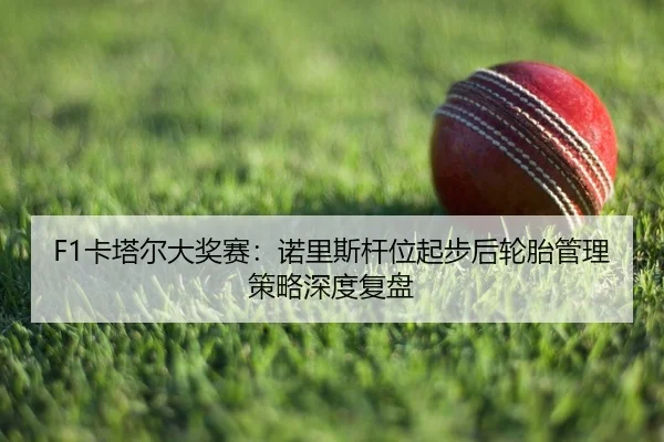 F1卡塔尔大奖赛：诺里斯杆位起步后轮胎管理策略深度复盘